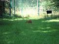 Zoo Cottbus 123
